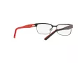 Polo Briller PP 8036 3136