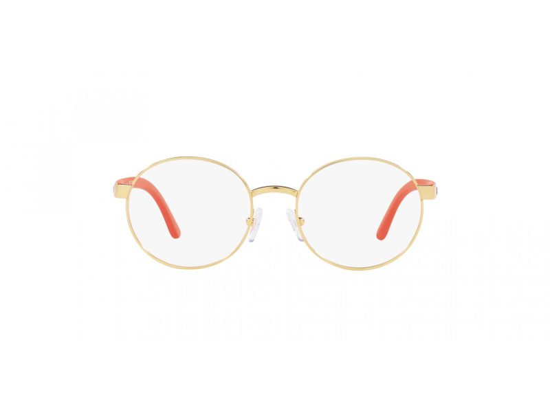 Polo Briller PP 8041 9411