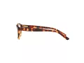 Polo Briller PP 8526 1591