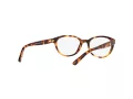 Polo Briller PP 8526 1591