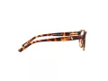 Polo Briller PP 8526 1591