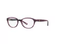 Polo Briller PP 8526 1592