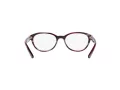 Polo Briller PP 8526 1592