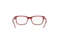 Polo Briller PP 8534 5667