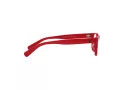 Polo Briller PP 8543U 5257