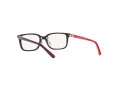Polo Briller PP 8545 5001