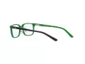 Polo Briller PP 8545 5613