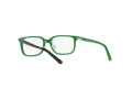 Polo Briller PP 8545 5613
