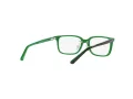 Polo Briller PP 8545 5613