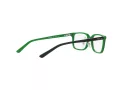 Polo Briller PP 8545 5613