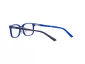 Polo Briller PP 8545 5865