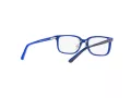 Polo Briller PP 8545 5865