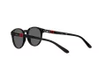 Polo Solbriller PP 9502 5001/87
