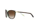 Ralph Ra5160 Solbriller RA 5160 601/13
