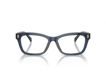 Ralph Briller RA 7154U 6144