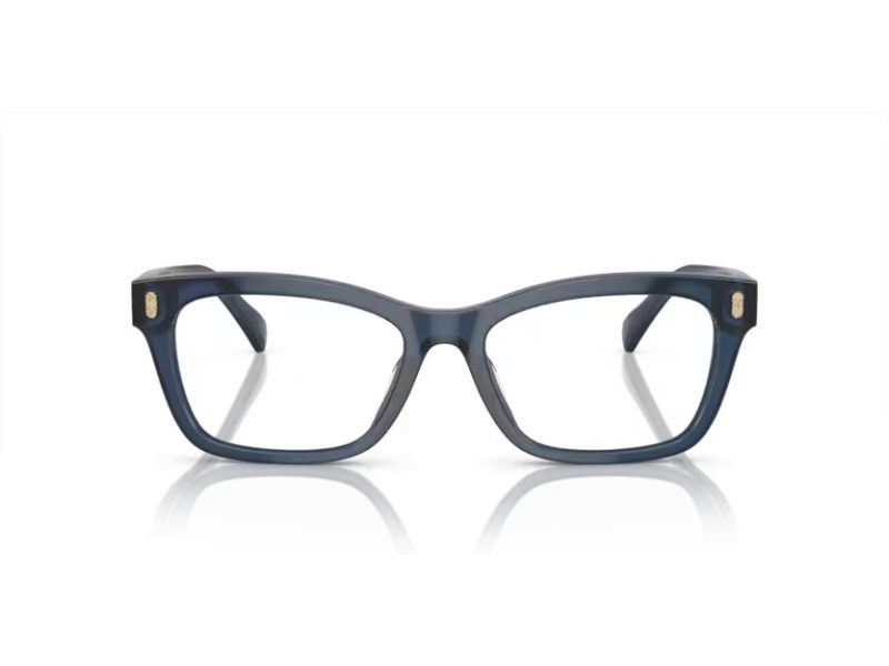 Ralph Briller RA 7154U 6144
