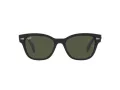 Ray-Ban Solbriller RB 0880S 901/31