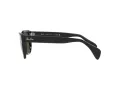 Ray-Ban Solbriller RB 0880S 901/31