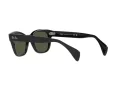 Ray-Ban Solbriller RB 0880S 901/31