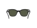 Ray-Ban Solbriller RB 0880S 901/31