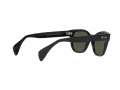 Ray-Ban Solbriller RB 0880S 901/31