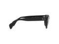 Ray-Ban Solbriller RB 0880S 901/31
