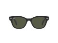 Ray-Ban Solbriller RB 0880S 901/31