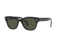 Ray-Ban Solbriller RB 0880S 901/31