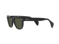 Ray-Ban Solbriller RB 0880S 901/31