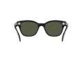 Ray-Ban Solbriller RB 0880S 901/31