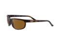 Ray-Ban Predator 2 Solbriller RB 2027 6508/33