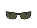 Ray-Ban Predator 2 Solbriller RB 2027 W1847