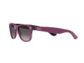Ray-Ban New Wayfarer Solbriller RB 2132 6606/M3