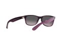 Ray-Ban New Wayfarer Solbriller RB 2132 6606/M3