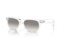 Ray-Ban New Wayfarer Solbriller RB 2132 677432