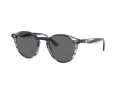 Ray-Ban Solbriller RB 2180 643087