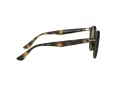 Ray-Ban Solbriller RB 2180 710/73