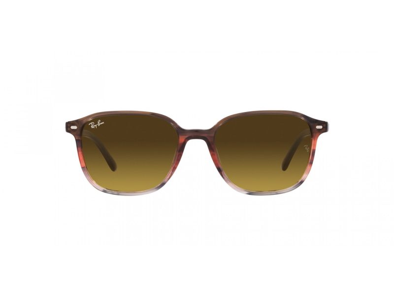 Ray-Ban Leonard Solbriller RB 2193 138085
