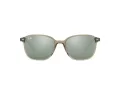 Ray-Ban Leonard Solbriller RB 2193 6635/5C
