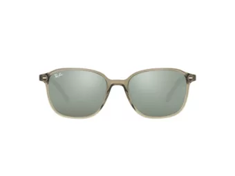 Ray-Ban Leonard Solbriller RB 2193 6635/5C