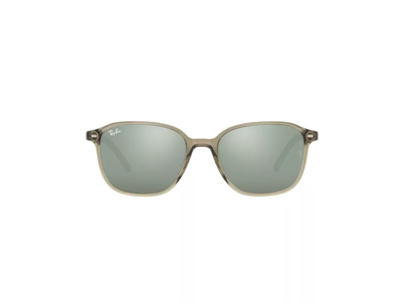 Ray-Ban Leonard Solbriller RB 2193 6635/5C