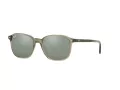 Ray-Ban Leonard Solbriller RB 2193 6635/5C