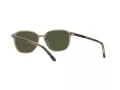 Ray-Ban Leonard Solbriller RB 2193 6635/5C
