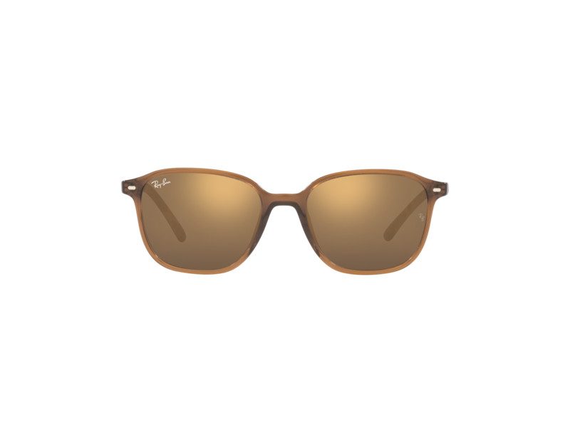 Ray-Ban Leonard Solbriller RB 2193 6636/93