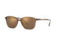 Ray-Ban Leonard Solbriller RB 2193 6636/93