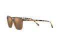 Ray-Ban Leonard Solbriller RB 2193 6636/93