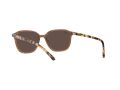 Ray-Ban Leonard Solbriller RB 2193 6636/93