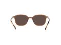 Ray-Ban Leonard Solbriller RB 2193 6636/93
