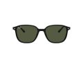 Ray-Ban Leonard Solbriller RB 2193 901/31