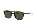 Ray-Ban Leonard Solbriller RB 2193 901/31